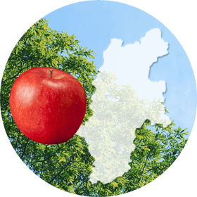 りんご小径は長野限定の商品です。